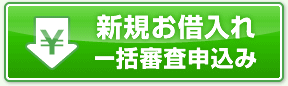 新規お借入れ一括審査申込み