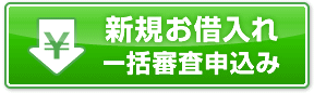 新規お借入れ一括審査申込み