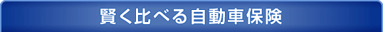 賢く比べる自動車保険