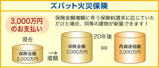 ズバット火災保険