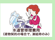 水道管修理費用(建物契約の場合で、凍結時のみ)