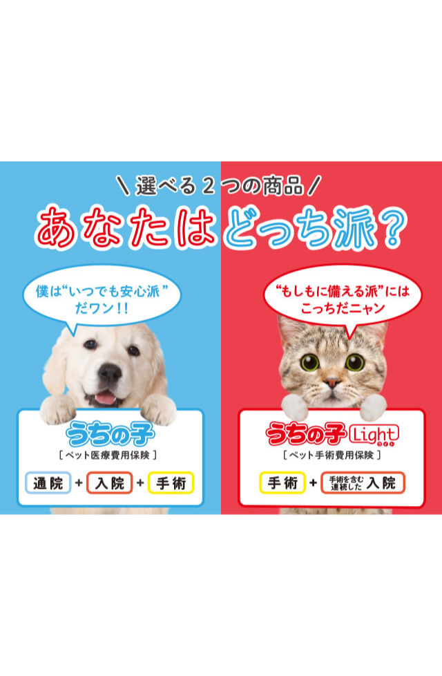 うちの子 うちの子ライト アイペット損害保険 ペット保険の資料請求 オンライン申込み