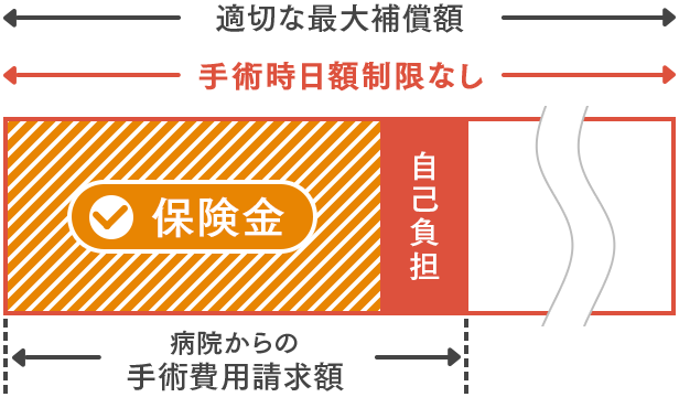 げんきナンバーわんスリム ペット ファミリー損保 ペット保険の資料請求 オンライン申込み