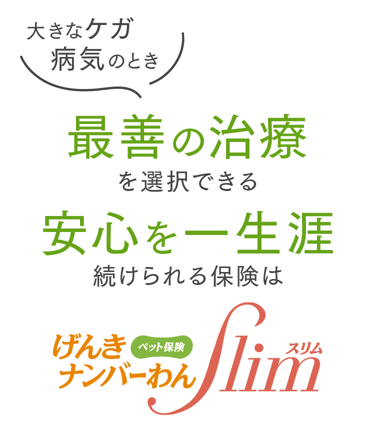 老犬の痴呆症はペット保険の保険金支払い対象外になる オザワのサイドfire生活