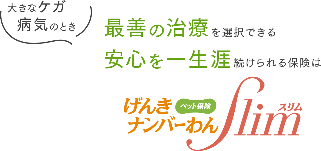 げんきナンバーわんスリム ペット ファミリー損保 ペット保険の資料請求 オンライン申込み