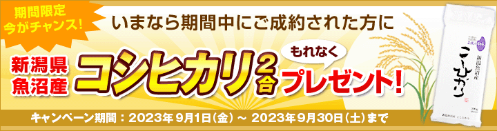 キャンペーン ペット ファミリー損保