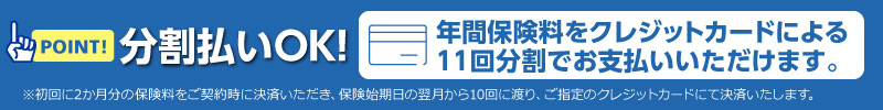 分割払いOK!